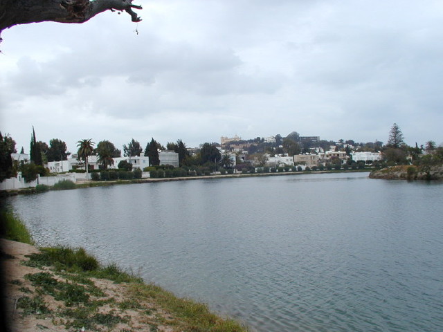 img0006.jpg