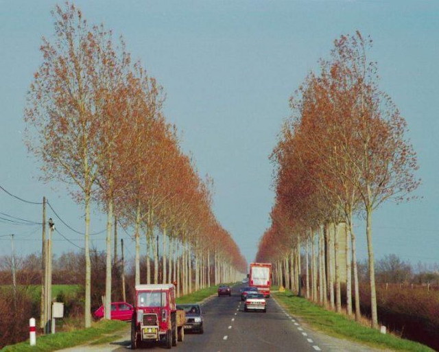 img0027.jpg