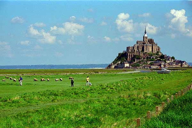 img0048.jpg