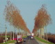 img0027.jpg