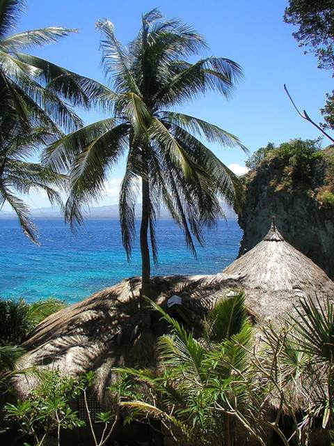 img0003.jpg