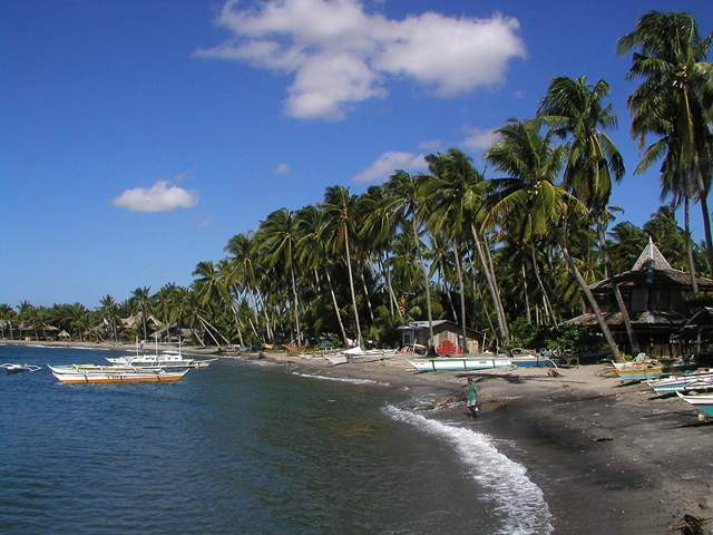 img0029.jpg