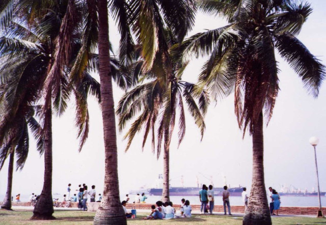 img0035.jpg
