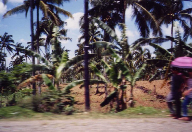 img0039.jpg