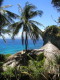 img0003.jpg