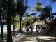img0008.jpg