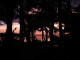 img0020.jpg