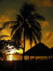 img0028.jpg