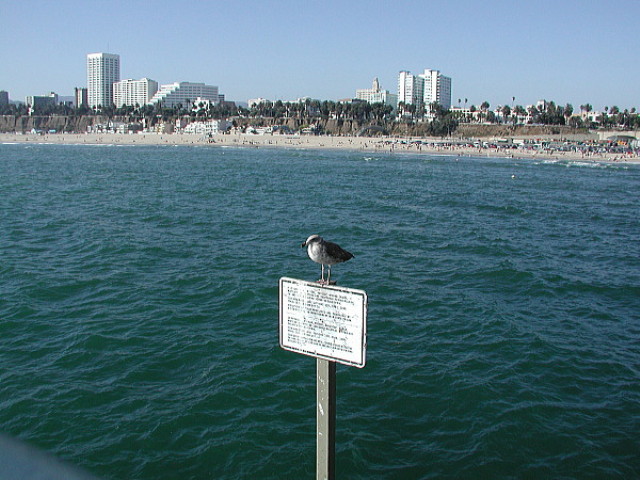 img0022.jpg