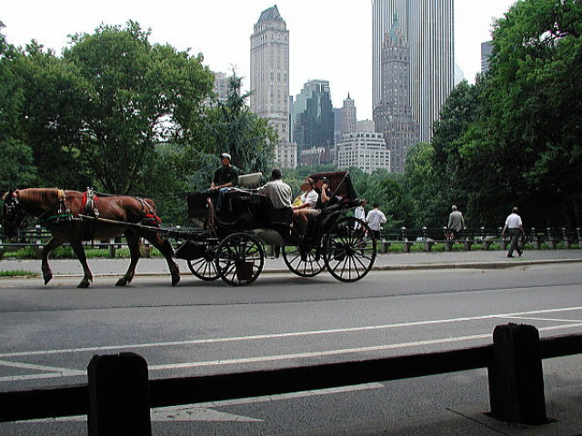 img0024.jpg