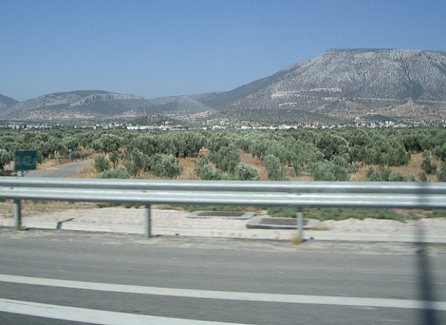 img0036.jpg
