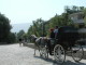 img0018.jpg