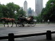 img0024.jpg