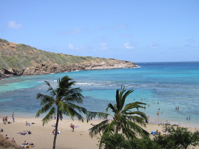 img0005.jpg