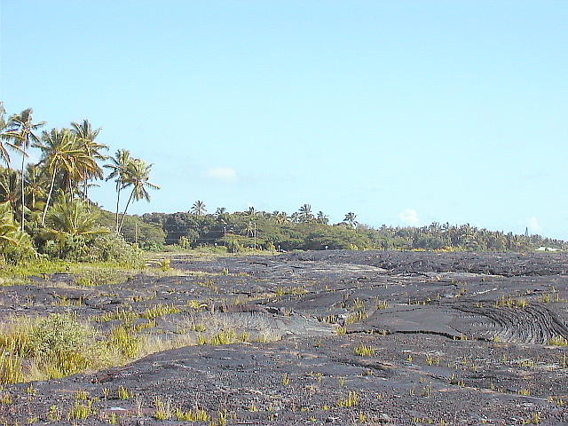 img0008.jpg
