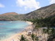 img0007.jpg