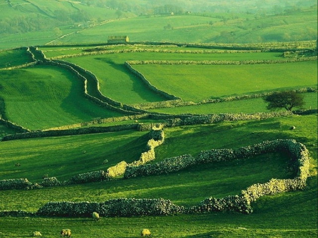 img0005.jpg