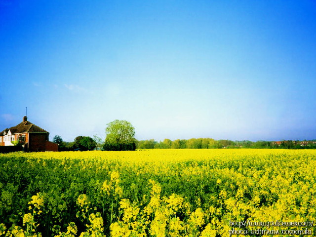 img0008.jpg
