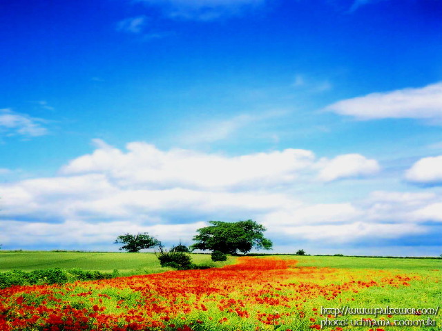 img0013.jpg