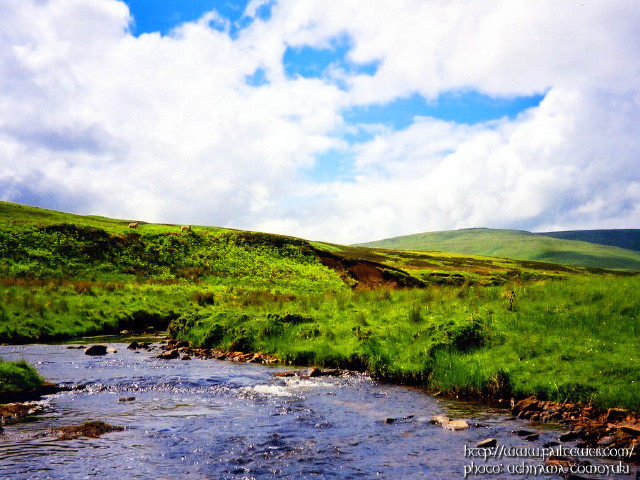 img0014.jpg