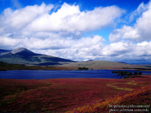 img0046.jpg