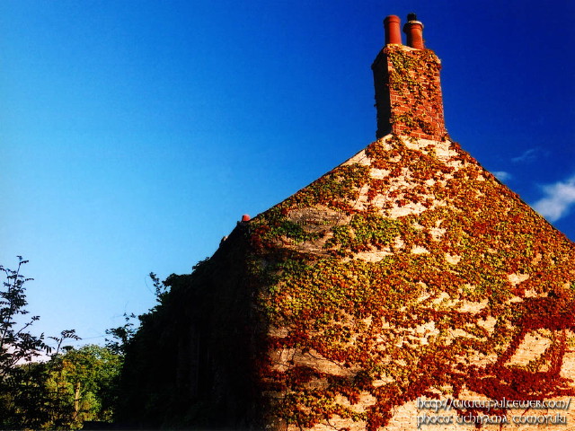 img0060.jpg