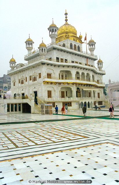 img0010.jpg