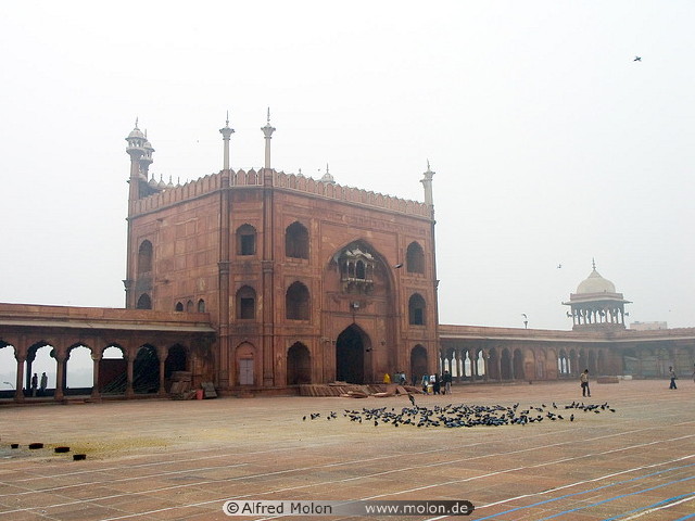 img0011.jpg