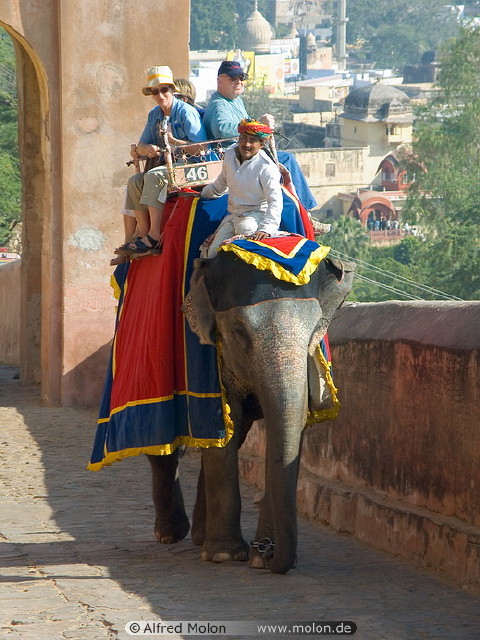 img0028.jpg