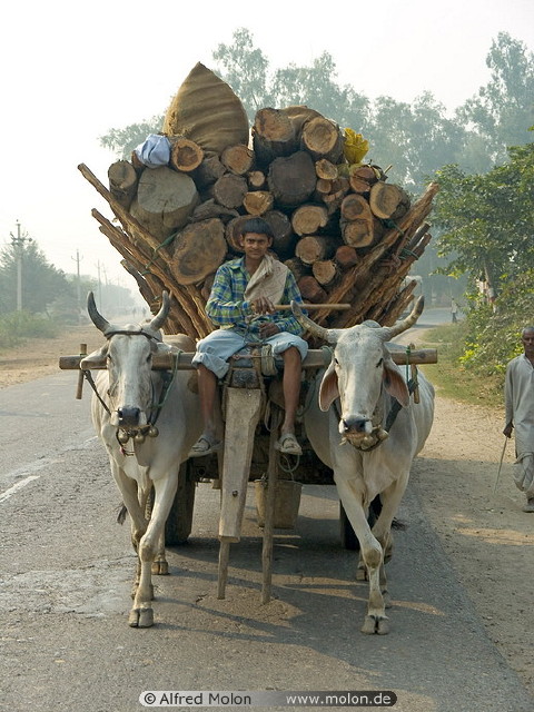 img0045.jpg