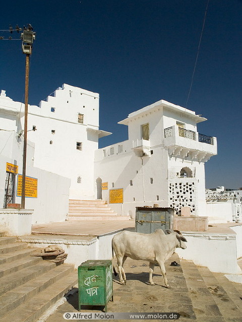 img0051.jpg