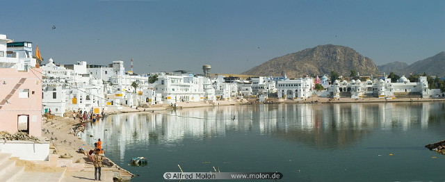 img0061.jpg