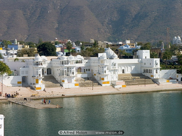 img0064.jpg