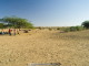 img0024.jpg