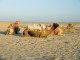 img0042.jpg