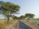 img0059.jpg