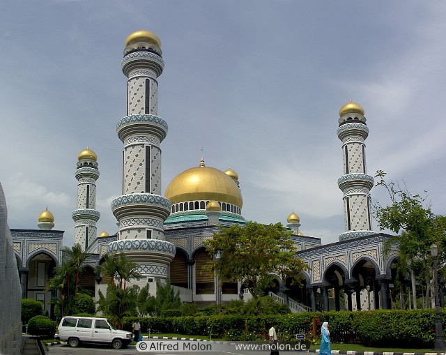 img0005.jpg