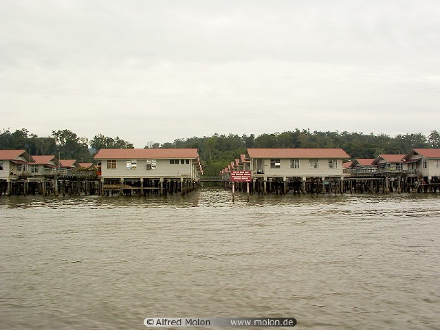 img0010.jpg