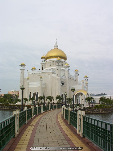 img0027.jpg