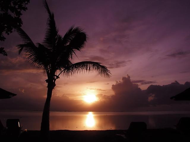img0037.jpg