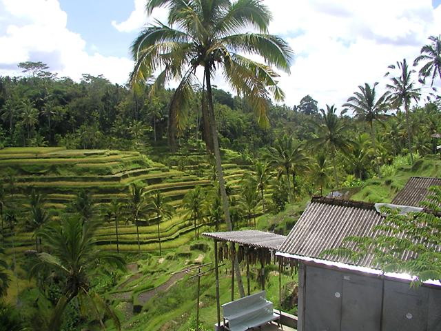 img0043.jpg
