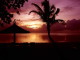 img0036.jpg