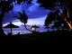 img0038.jpg