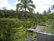img0043.jpg