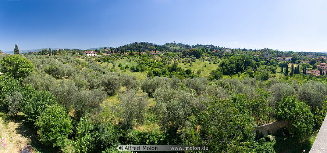 img0039.jpg