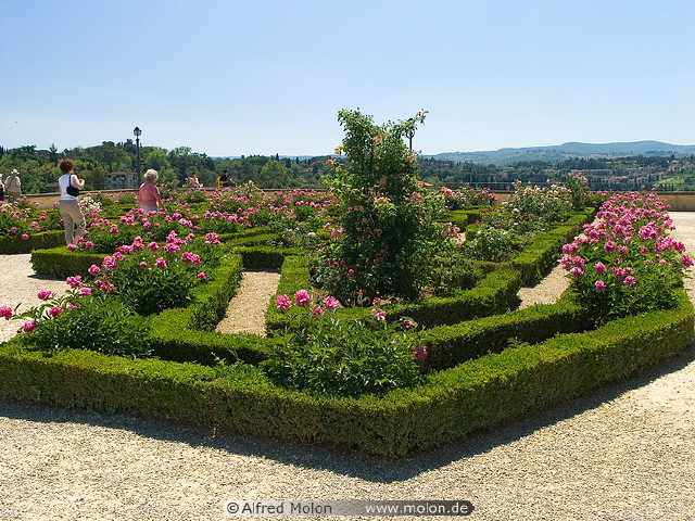 img0065.jpg