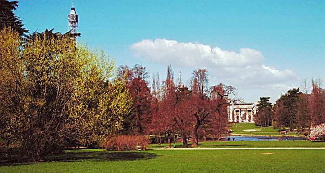 img0154.jpg