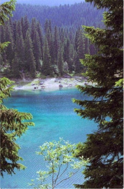 img0212.jpg