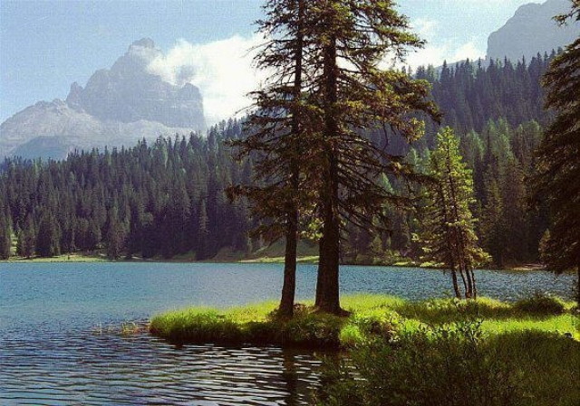 img0217.jpg