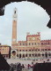 img0086.jpg